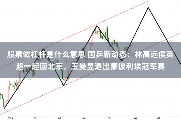 股票做杠杆是什么意思 国乒新动态：林高远侯英超一起回北京，王曼昱退出蒙彼利埃冠军赛