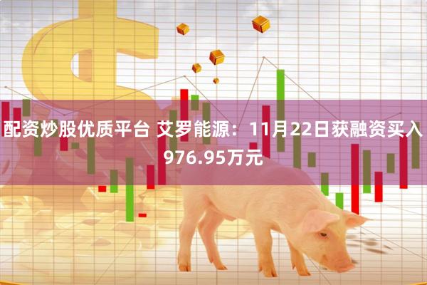 配资炒股优质平台 艾罗能源：11月22日获融资买入976.95万元