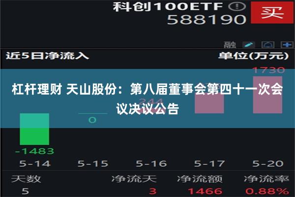 杠杆理财 天山股份：第八届董事会第四十一次会议决议公告