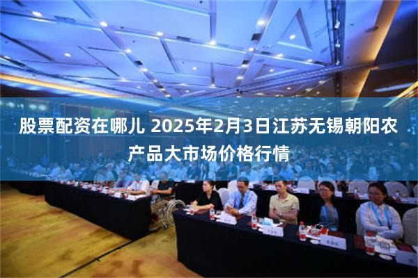 股票配资在哪儿 2025年2月3日江苏无锡朝阳农产品大市场价格行情